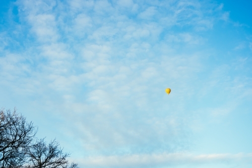 Hot Air Balloon on blue sky and trees - Australian Stock Image