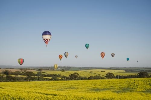 Hot air balloons over a flowering canola crop in the Avon Valley in Western Australia - Australian Stock Image