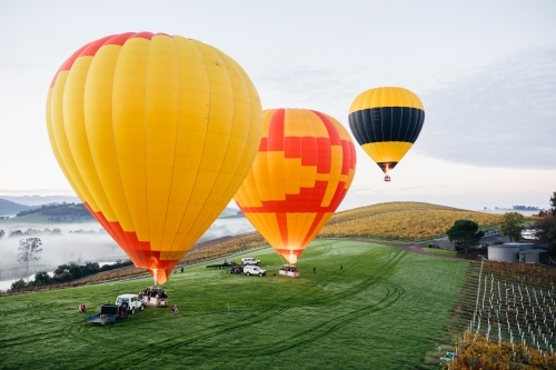 Hot Air Balloons taking off from paddock among vineyards on cold morning - Australian Stock Image