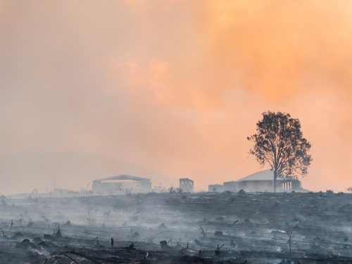House and tree in a burnt landscape with orange smoke - Australian Stock Image