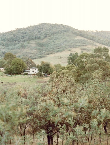 House at the base of a mountain with trees in the foreground - Australian Stock Image
