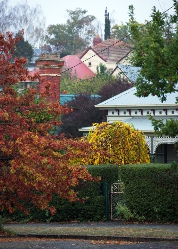 Houses on a hillside among trees in Autumn.