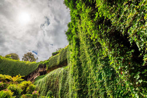 Iconic Umpherston Sinkhole Cave Gardens viewed from the bottom grounds, Mt Gambier, Limestone Coast, - Australian Stock Image