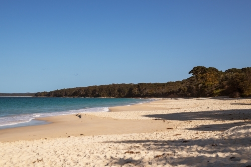 Image of long white sandy beach - Australian Stock Image