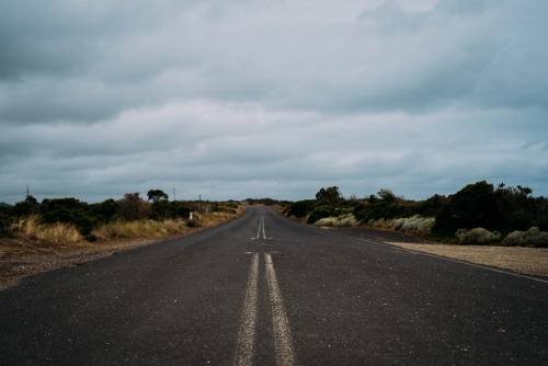 In the middle of the road - Australian Stock Image