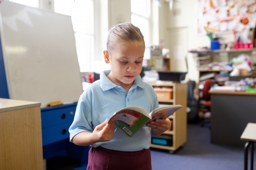 Indigenous primary school student standing reading a book in a classroom - Australian Stock Image