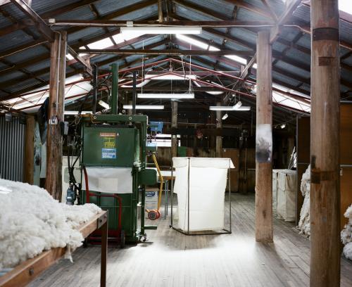 Inside a shearing shed with wool reading for baling