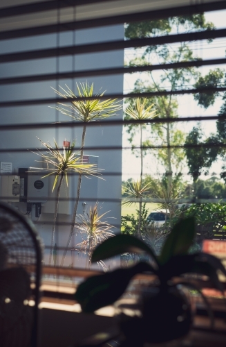 inside looking out to the frontyard and beyond - Australian Stock Image