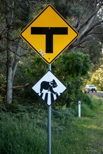 Intersection road sign & black and white road sign warning that koalas cross here