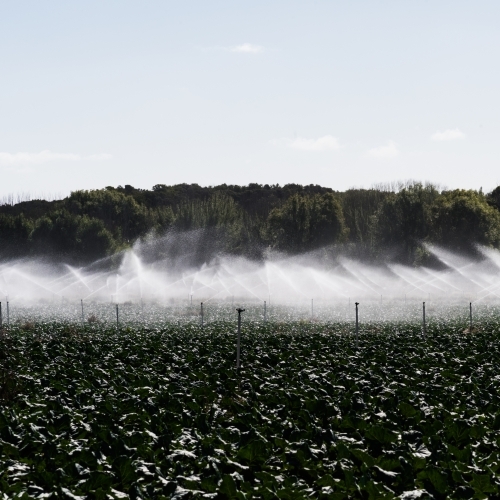 irrigating the crops - Australian Stock Image