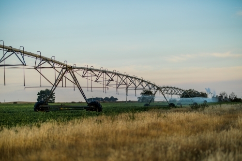 Irrigation of peas in paddock - Australian Stock Image