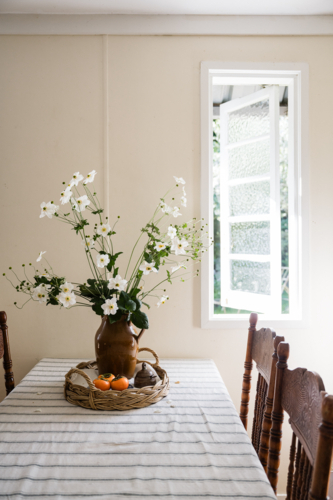 Japanese windflowers in a jug on a vintage dining table - Australian Stock Image