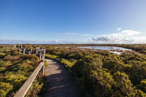 Jawbone Marine Sanctuary on a winter's day in Williamstown, Melbourne, Victoria, Australia - Australian Stock Image