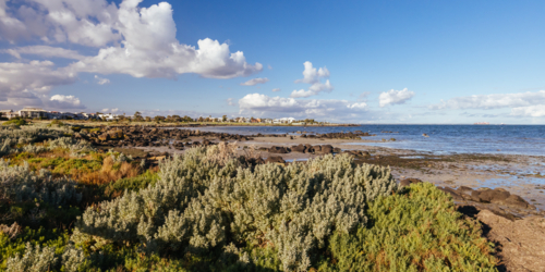 Jawbone Marine Sanctuary on a winter's day in Williamstown, Melbourne, Victoria, Australia - Australian Stock Image