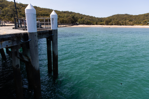 jetty pylons in turquoise water near Kingfisher Bay - Australian Stock Image