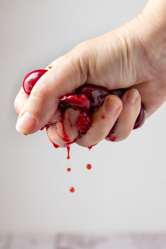 Juicy cherries being squeezed by hand - Australian Stock Image