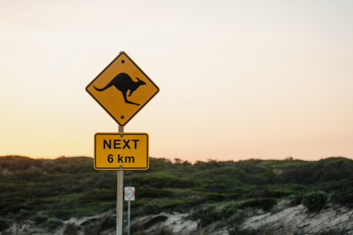 Kangaroo crossing road sign at sunset - Australian Stock Image