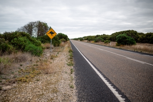 Kangaroo crossing sign on an empty road - Australian Stock Image