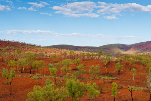 Karijini National Park Wilderness After The Rains - Australian Stock Image