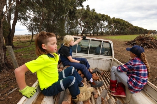 Kids riding in back of old work ute while out wood cutting on farm - Australian Stock Image