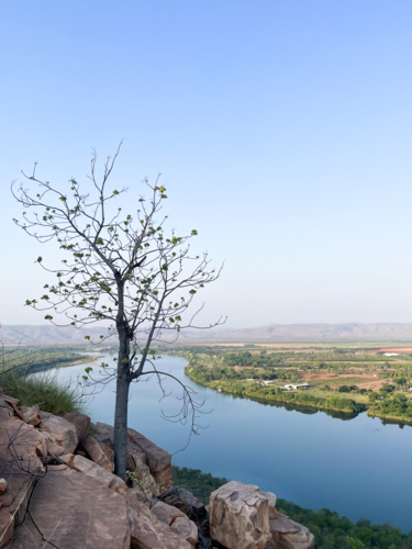 Kimberley’s Landscape overlooking Ord river with single tree in foreground on still clear day - Australian Stock Image