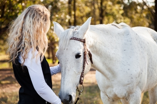 Kind young woman patting grey horse in paddock - Australian Stock Image