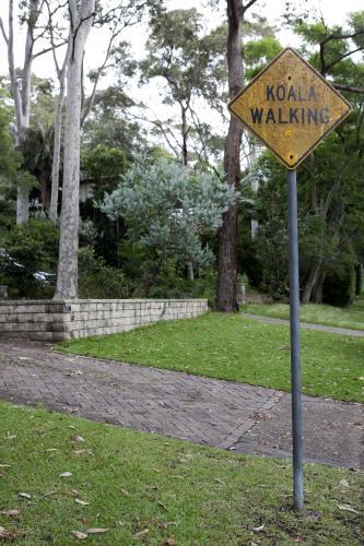 Koala Walking street sign - Australian Stock Image