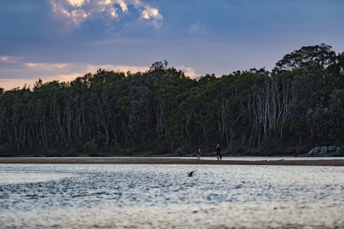 Lagoon afternoon - Australian Stock Image
