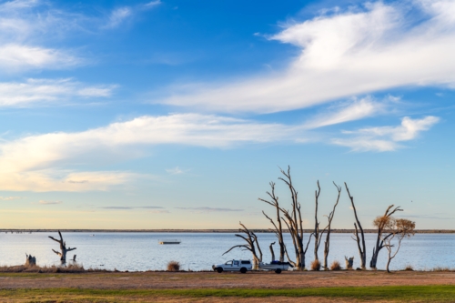 Lake Bonney with dead tree stumps in water at sunset time, Barmera, South Australia - Australian Stock Image