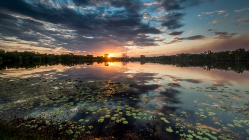 Beautiful stormy sunset over a lake with lily pads