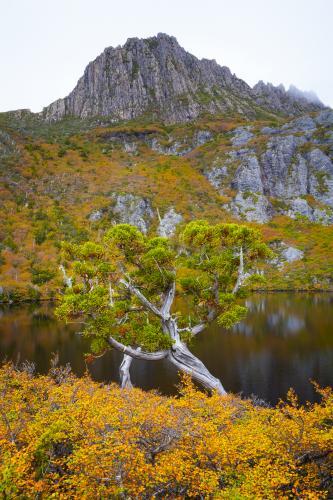 Lake Wilks - Australian Stock Image