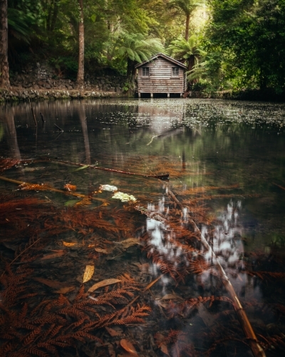 Lakeside at Alfred Nicholas Memorial Gardens - Australian Stock Image