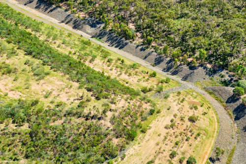 Landfill and storm water gullies with horses (brumbies) on Curtis Island - Australian Stock Image