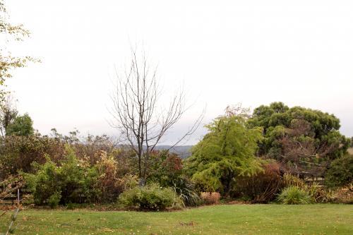 Landscape of a garden on a farm - Australian Stock Image