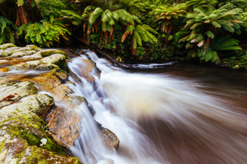 Landscape of Halls Falls with plenty of water on a warm spring day in Pyengana - Australian Stock Image