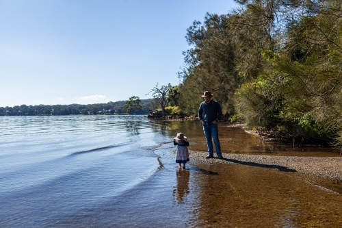 Landscape of lake shoreline with trees to shallow water - Australian Stock Image