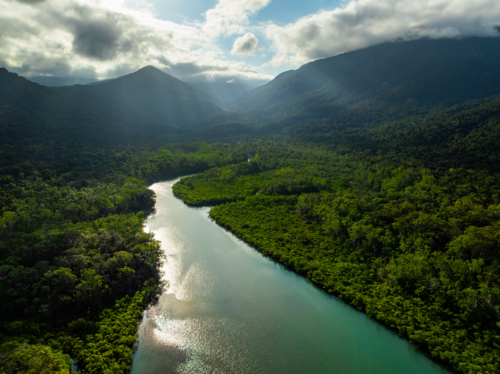 Landscape of the Daintree Coast - Australian Stock Image