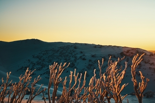Landscape sunrise of the Snowy Mountains looking across the valley