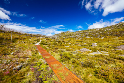 Landscape views along the Porcupine Walking Track on a summer's day in Kosciuszko National Park - Australian Stock Image