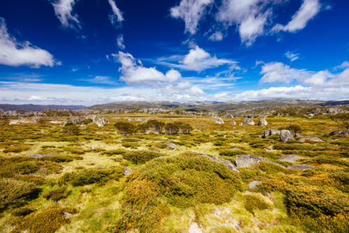 Landscape views along the Porcupine Walking Track on a summer's day in Kosciuszko National Park - Australian Stock Image