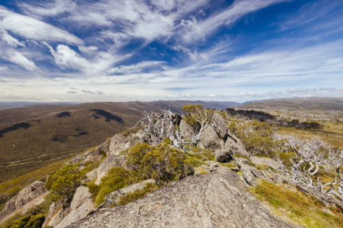 Landscape views along the Porcupine Walking Track on a summer's day in Kosciuszko National Park - Australian Stock Image