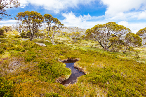 Landscape views along the Porcupine Walking Track on a summer's day in Kosciuszko National Park - Australian Stock Image