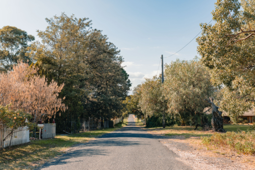 Laneway lined with trees in small town - Australian Stock Image