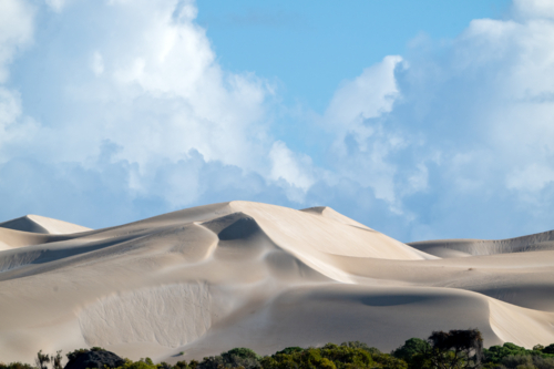Large coastal sand dunes rise above scrubland under a dramatic blue sky with billowing clouds - Australian Stock Image