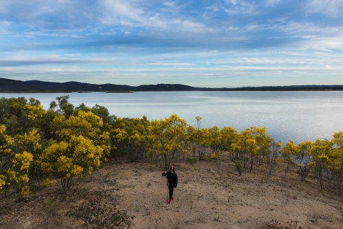 Large dam of water with boy walking with stick through wattle trees