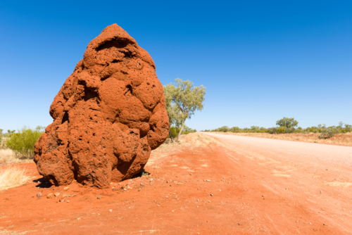 Large red termite mound beside an outback dirt road. - Australian Stock Image