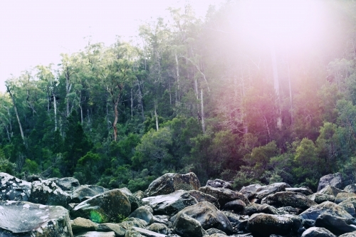 Large rocks in front of bushland with sun flare