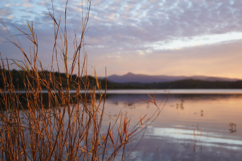 last sunset light on grass by calm lake - Australian Stock Image