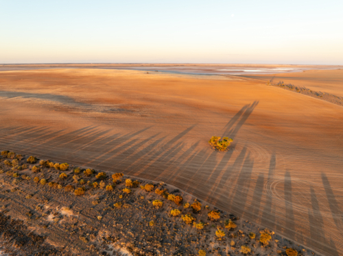 Late afternoon light and long shadows over farmland - Australian Stock Image