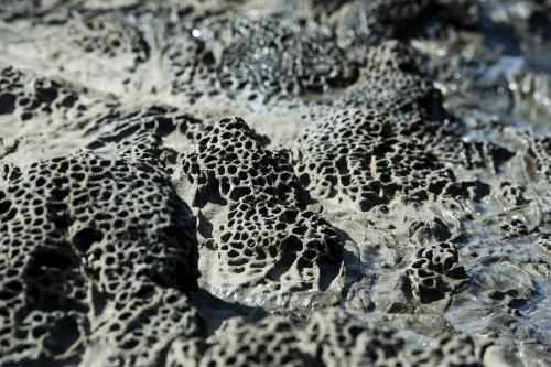 Lava formed rockpool closeup - Australian Stock Image